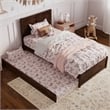 Clayton Twin Wood Platform Bed with Panel Footboard and Twin Trundle in Walnut