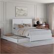 Clayton Queen Wood Platform Bed with Panel Footboard & Twin XL Trundle in White