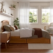 Lucia Twin XL Platform Bed w Panel Footboard & 2 Storage Drawers in Light Toffee