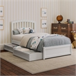 Lucia Twin Platform Bed with Panel Footboard & 2 Storage Drawers in White