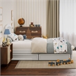 Lucia Twin Platform Bed with Panel Footboard & 2 Storage Drawers in White