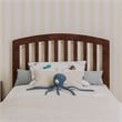 Lucia Twin Platform Bed with Panel Footboard & 2 Storage Drawers in Walnut
