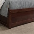 Lucia Twin Platform Bed with Panel Footboard & 2 Storage Drawers in Walnut