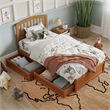Lucia Twin Platform Bed with Panel Footboard & 2 Storage Drawers in Light Toffee