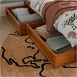 Lucia Twin Platform Bed with Panel Footboard & 2 Storage Drawers in Light Toffee