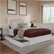 Lucia Queen Platform Bed with Panel Footboard & 2 Storage Drawers in White