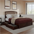 Lucia Queen Platform Bed with Panel Footboard & 2 Storage Drawers in Walnut