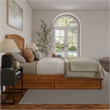 Lucia Queen Platform Bed w/ Panel Footboard & 2 Storage Drawers in Light Toffee