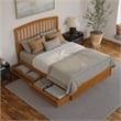 Lucia Queen Platform Bed w/ Panel Footboard & 2 Storage Drawers in Light Toffee