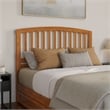 Lucia Queen Platform Bed w/ Panel Footboard & 2 Storage Drawers in Light Toffee