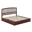 Lucia King Platform Bed with Panel Footboard & 2 Storage Drawers in Walnut
