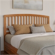 Lucia King Platform Bed with Panel Footboard & 2 Storage Drawers in Light Toffee