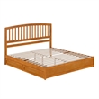 Lucia King Platform Bed with Panel Footboard & 2 Storage Drawers in Light Toffee