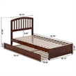 Lucia Twin XL Wood Platform Bed with Panel Footboard & Twin XL Trundle in Walnut