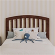 Lucia Twin Wood Platform Bed with Panel Footboard and Twin Trundle in Walnut