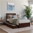 Everett Twin XL Wood Platform Bed with Panel Footboard & Drawers in Walnut