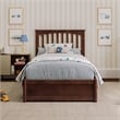 Everett Twin Wood Platform Bed with Panel Footboard & Storage Drawers in Walnut