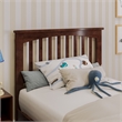 Everett Twin Wood Platform Bed with Panel Footboard & Storage Drawers in Walnut