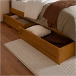 Everett Full Wood Platform Bed with Panel Footboard & Drawers in Light Toffee