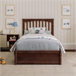 Everett Twin Wood Platform Bed with Panel Footboard and Twin Trundle in Walnut