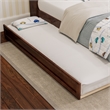 Everett Twin Wood Platform Bed with Panel Footboard and Twin Trundle in Walnut