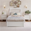 Roslyn Twin XL Platform Bed with Panel Footboard & 2 Storage Drawers in White