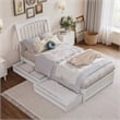 Roslyn Twin XL Platform Bed with Panel Footboard & 2 Storage Drawers in White