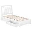 Roslyn Twin XL Platform Bed with Panel Footboard & 2 Storage Drawers in White