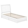 Roslyn Twin XL Platform Bed with Panel Footboard & 2 Storage Drawers in White