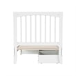 Roslyn Twin XL Platform Bed with Panel Footboard & 2 Storage Drawers in White