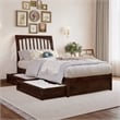 Roslyn Twin XL Platform Bed with Panel Footboard & 2 Storage Drawers in Walnut