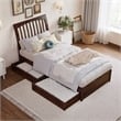 Roslyn Twin XL Platform Bed with Panel Footboard & 2 Storage Drawers in Walnut