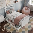 Roslyn Twin Platform Bed with Panel Footboard & 2 Storage Drawers in White