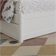 Roslyn Twin Platform Bed with Panel Footboard & 2 Storage Drawers in White