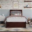 Roslyn Twin Platform Bed with Panel Footboard & 2 Storage Drawers in Walnut