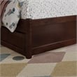 Roslyn Twin Platform Bed with Panel Footboard & 2 Storage Drawers in Walnut