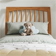 Roslyn Twin Platform Bed w Panel Footboard & 2 Storage Drawers in Light Toffee