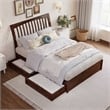 Roslyn Full Platform Bed with Panel Footboard & 2 Storage Drawers in Walnut