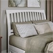 Roslyn Queen Platform Bed with Panel Footboard & 2 Storage Drawers in White