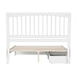 Roslyn Queen Platform Bed with Panel Footboard & 2 Storage Drawers in White