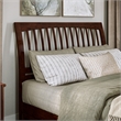 Roslyn Queen Platform Bed with Panel Footboard & 2 Storage Drawers in Walnut