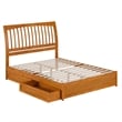 Roslyn Queen Platform Bed w Panel Footboard & 2 Storage Drawers in Light Toffee