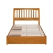 Roslyn Queen Platform Bed w Panel Footboard & 2 Storage Drawers in Light Toffee