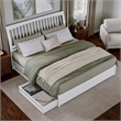 Roslyn King Platform Bed with Panel Footboard & 2 Storage Drawers in White