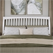 Roslyn King Platform Bed with Panel Footboard & 2 Storage Drawers in White