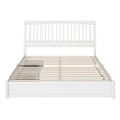 Roslyn King Platform Bed with Panel Footboard & 2 Storage Drawers in White