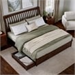 Roslyn King Platform Bed with Panel Footboard & 2 Storage Drawers in Walnut