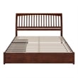 Roslyn King Platform Bed with Panel Footboard & 2 Storage Drawers in Walnut