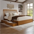 Roslyn King Platform Bed w Panel Footboard & 2 Storage Drawers in Light Toffee