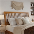 Roslyn King Platform Bed w Panel Footboard & 2 Storage Drawers in Light Toffee